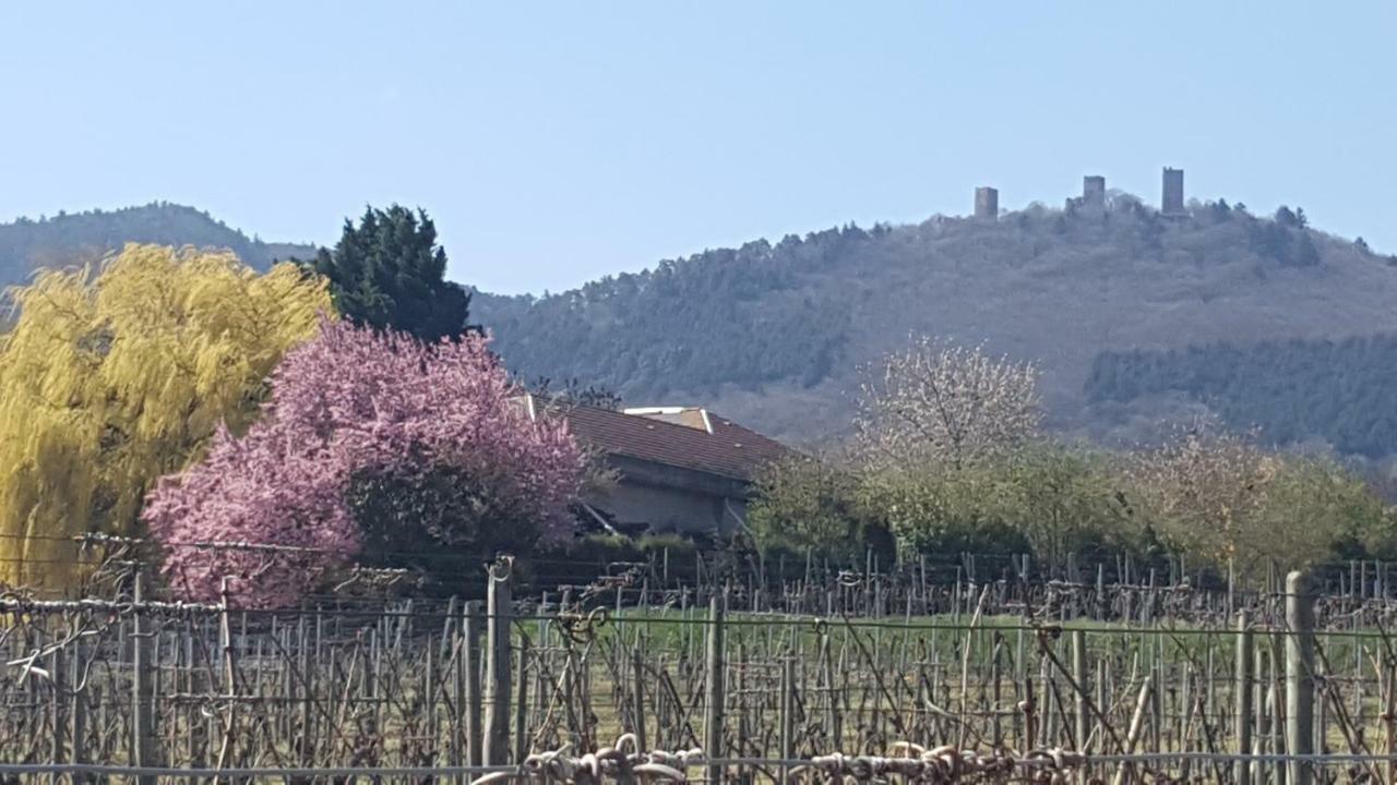 شقة Fleur De Vigne إِجويشا المظهر الخارجي الصورة